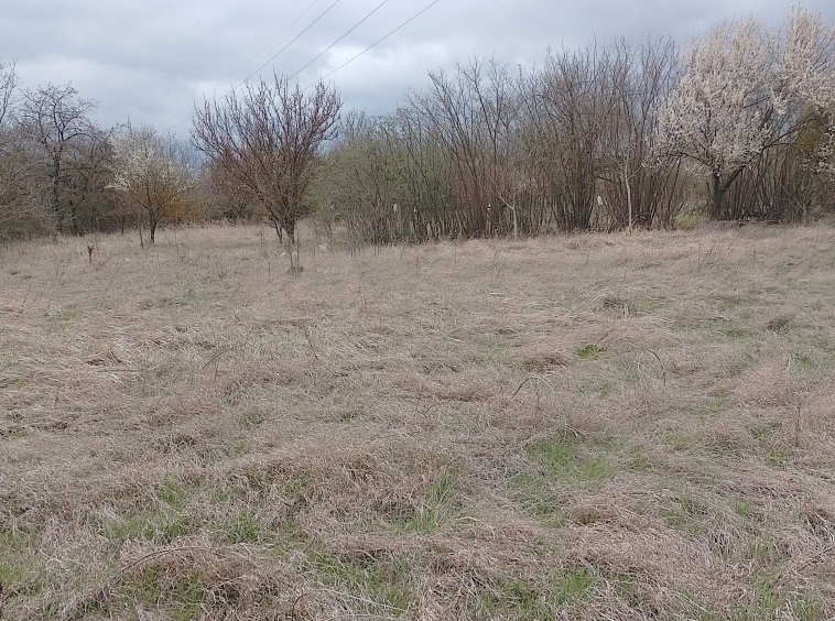 Парцел в Разград, Промишлена зона - Запад - 812 кв.м за 13 €/кв.м - Снимка #1