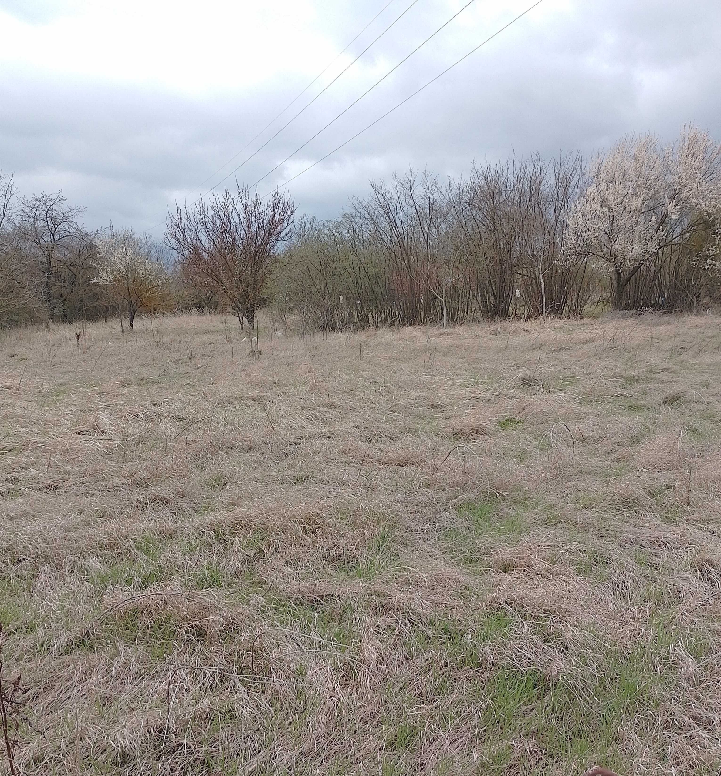 Парцел в Разград, Промишлена зона - Запад - 812 кв.м за 13 €/кв.м - Снимка #1