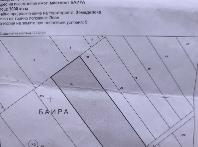 Земеделски имот в с. Виноградец, Област Пазарджик -  кв.м за 1020 €/дка - Снимка #1