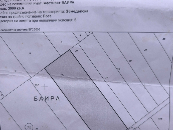 Земеделски имот в с. Виноградец, Област Пазарджик -  кв.м за 1020 €/дка - Снимка #1