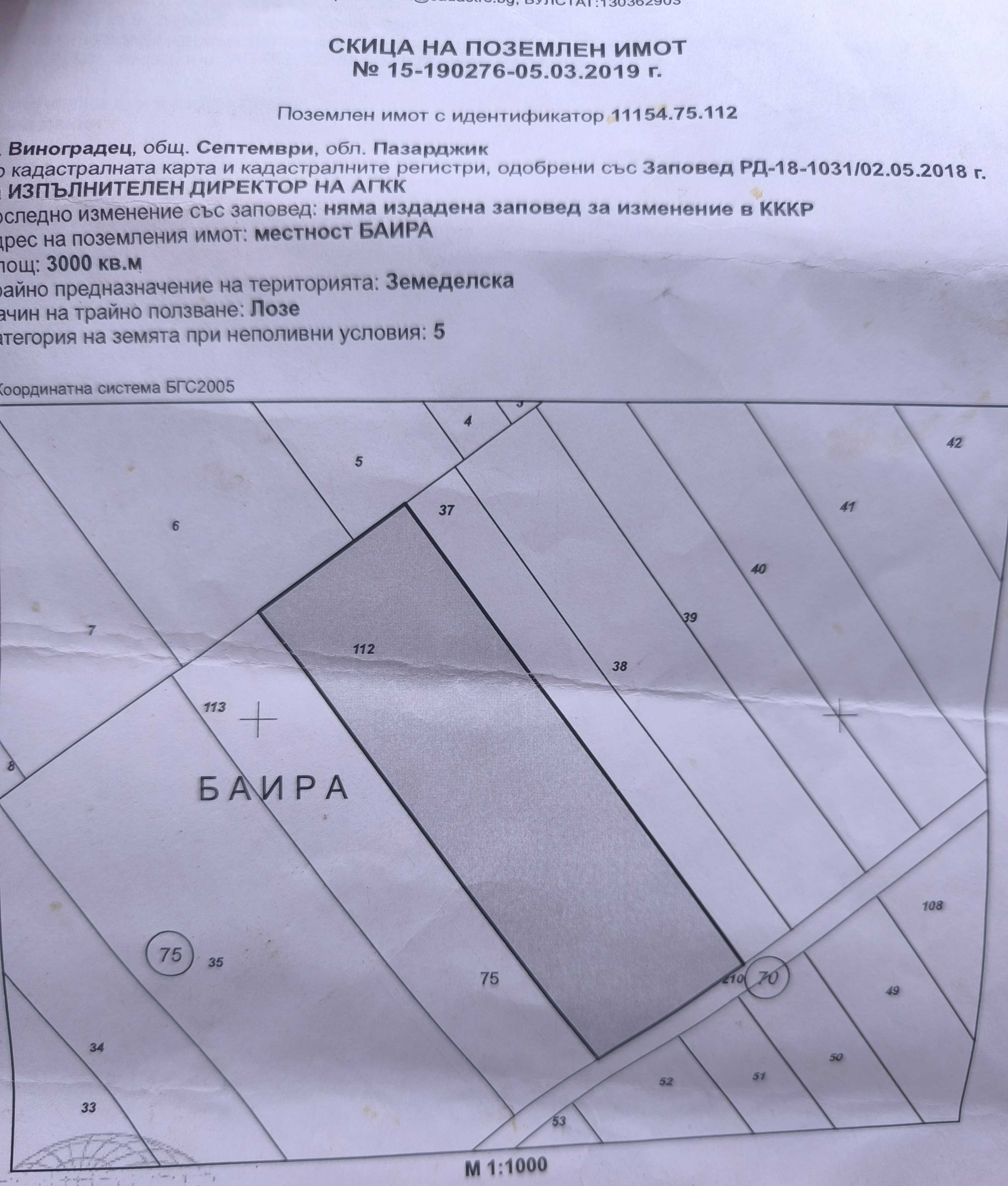 Земеделски имот в с. Виноградец, Област Пазарджик -  кв.м за 1020 €/дка - Снимка #1