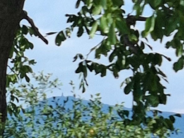 Парцел в Етрополе - 1300 кв.м за 17 €/кв.м - Снимка #1