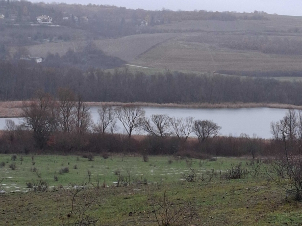 Парцел в Радомир - 2853 кв.м за 8 €/кв.м - Снимка #1