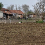 Парцел в Пловдив, Тракия - 1230 кв.м за 17 €/кв.м - Снимка #1