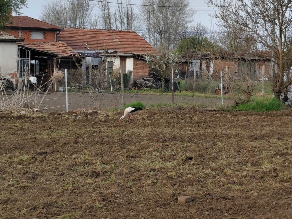 Парцел в Пловдив, Тракия - 1230 кв.м за 17 €/кв.м - Снимка #1
