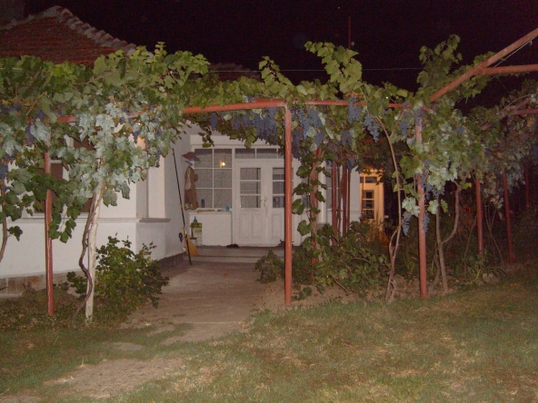 Къща в Лом - 100 кв.м за 62 €/кв.м - Снимка #1