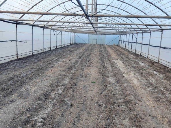 Дава се под наем Земеделски имот в Стара Загора, Център -  кв.м за 2244 € - Снимка #1