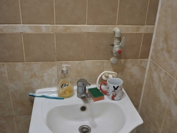 Къща в Силистра, Римска гробница - 100 кв.м за 529 €/кв.м - Снимка #1