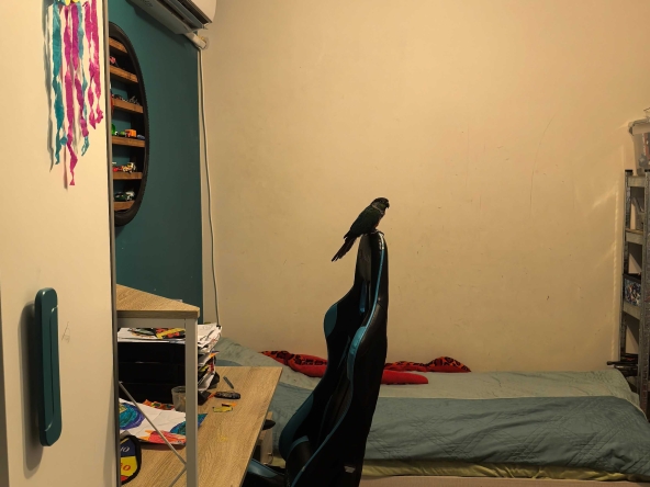 Многостаен апартамент в Стара Загора, Център - 82 кв.м за 961 €/кв.м - Снимка #1