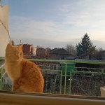 Дава се под наем Двустаен апартамент в София, Бенковски - 55 кв.м за 382.5 € - Снимка #1