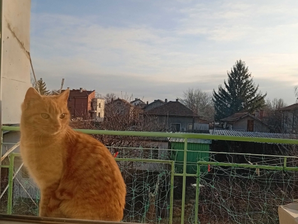 Дава се под наем Двустаен апартамент в София, Бенковски - 55 кв.м за 382.5 € - Снимка #1