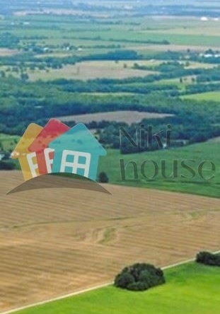 Парцел в с. Българево, Област Добрич - 540 кв.м за 26 €/кв.м - Снимка #1