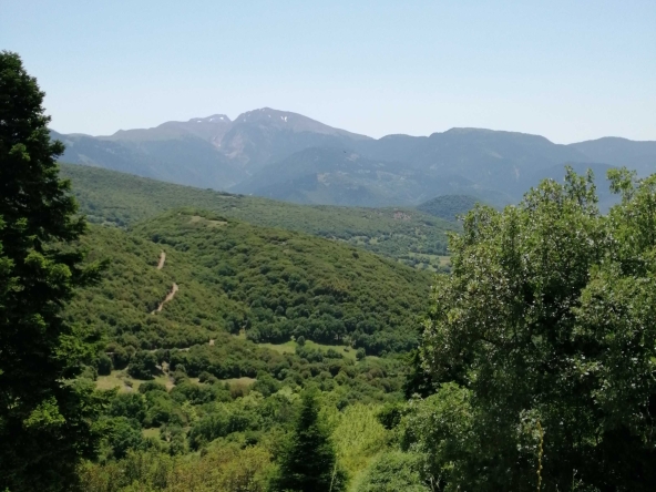 Парцел в с. Огоя, Област София-област - 2400 кв.м за 6 €/кв.м - Снимка #1