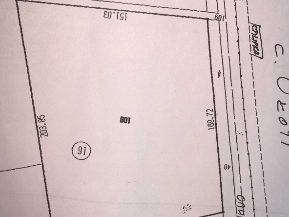 Земеделски имот в Ямбол, Зорница -  кв.м за 20000 €/дка - Снимка #1