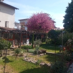 Дава се под наем Къща в с. Лозенец, Област Бургас - 100 кв.м за 30.6 € - Снимка #1