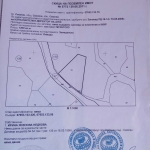 Парцел в Смолян, в.з. Смолян - 1200 кв.м за 25 €/кв.м - Снимка #1