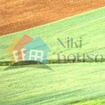 Земеделски имот в с. Водица, Област Варна -  кв.м за 1 €/дка - Снимка #1