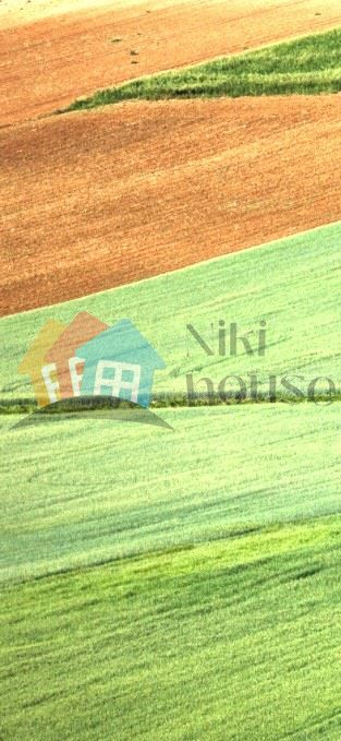 Земеделски имот в с. Водица, Област Варна -  кв.м за 1 €/дка - Снимка #1