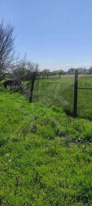 Парцел в с. Черничево, Област Пловдив - 1293 кв.м за 5 €/кв.м - Снимка #1