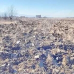 Парцел в Пловдив, Беломорски - 585 кв.м за 77 €/кв.м - Снимка #1