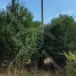 Парцел в с. Богданица, Област Пловдив - 588 кв.м за 10 €/кв.м - Снимка #1