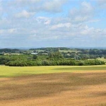 Парцел в Вършец - 1000 кв.м за 11 €/кв.м - Снимка #1