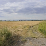 Земеделски имот в с. Брестник, Област Пловдив -  кв.м за 30600 €/дка - Снимка #1