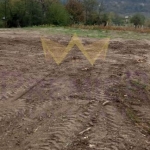 Парцел в Аксаково - 1000 кв.м за 32 €/кв.м - Снимка #1