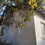 Парцел в с. Столник, Област София-област - 860 кв.м за 100 €/кв.м - Снимка #1