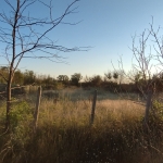 Парцел в с. Методиево, Област Добрич - 1090 кв.м за 6 €/кв.м - Снимка #1