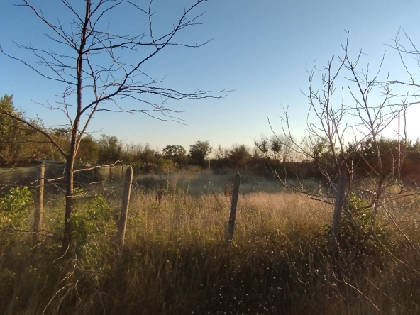 Парцел в с. Методиево, Област Добрич - 1090 кв.м за 6 €/кв.м - Снимка #1