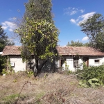 Парцел в Павликени - 1370 кв.м за 8 €/кв.м - Снимка #1