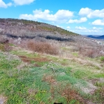 Парцел в с. Рогачево, Област Добрич - 3505 кв.м за 15 €/кв.м - Снимка #1