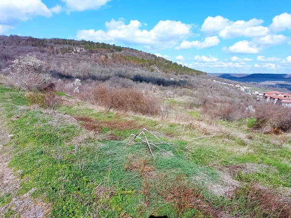 Парцел в с. Рогачево, Област Добрич - 3505 кв.м за 15 €/кв.м - Снимка #1