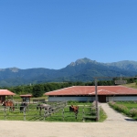 Парцел в Априлци - 15000 кв.м за 29 €/кв.м - Снимка #1