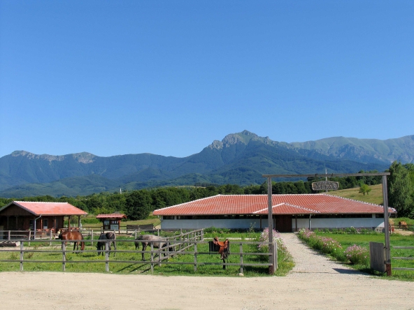 Парцел в Априлци - 15000 кв.м за 29 €/кв.м - Снимка #1