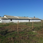 Склад в Генерал Тошево - 430 кв.м за 89 €/кв.м - Снимка #1