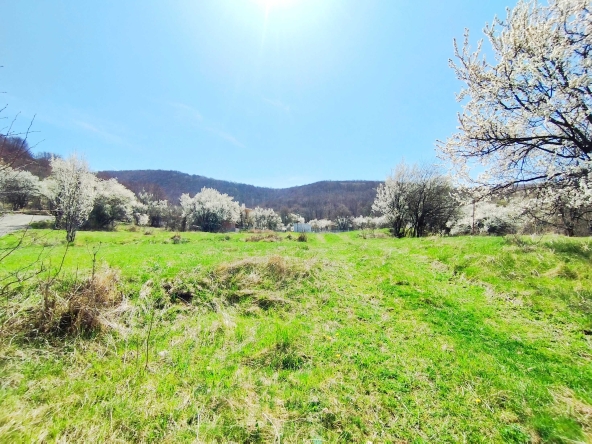 Парцел в с. Боснек, Област Перник - 458 кв.м за 41 €/кв.м - Снимка #1