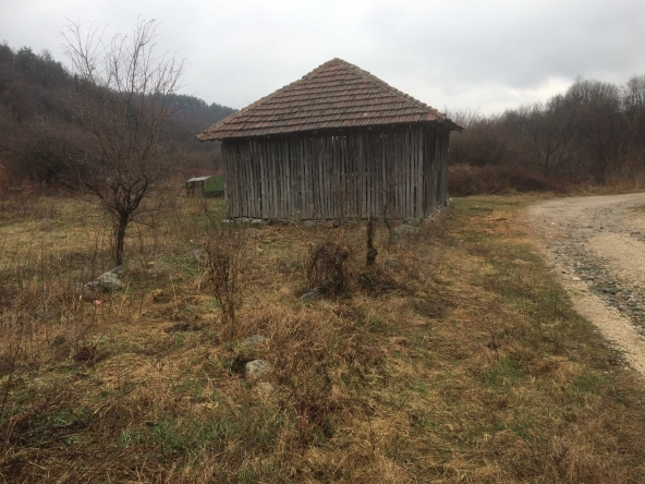 Земеделски имот в Видин, Баба Тонка -  кв.м за 1360 €/дка - Снимка #1