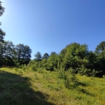 Парцел в Варна, Трошево - 12089 кв.м за 6 €/кв.м - Снимка #1