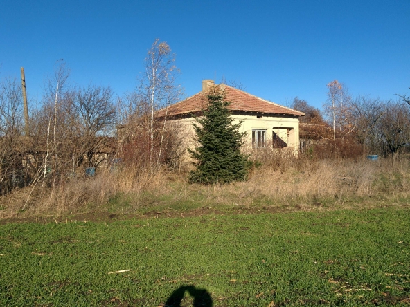 Парцел в с. Тригорци, Област Добрич - 2500 кв.м за 4 €/кв.м - Снимка #1