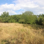 Земеделски имот в с. Милковци, Област Габрово -  кв.м за 16 €/дка - Снимка #1