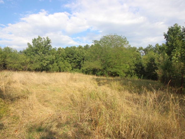 Земеделски имот в с. Милковци, Област Габрово -  кв.м за 16 €/дка - Снимка #1