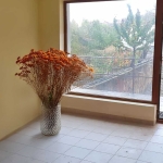 Дава се под наем Магазин в Банско - 40 кв.м за 306 € - Снимка #1