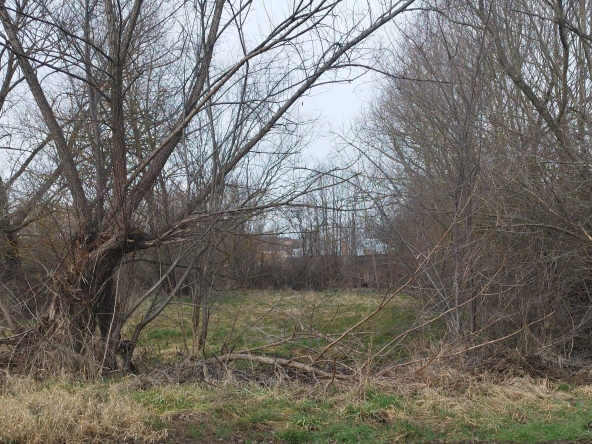 Парцел в с. Слаковци, Област Перник - 478 кв.м за 11 €/кв.м - Снимка #1