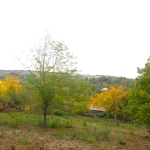 Парцел в с. Костенковци, Област Габрово - 1666 кв.м за 4 €/кв.м - Снимка #1