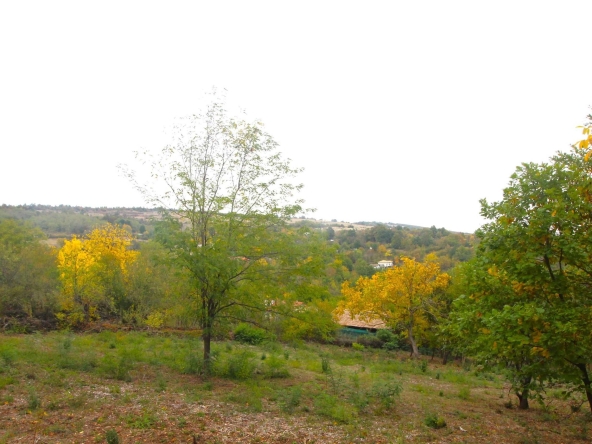 Парцел в Габрово, Беленци - 1666 кв.м за 7 €/кв.м - Снимка #1