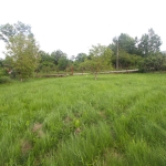 Парцел в с. Райновци, Област Габрово - 1000 кв.м за 16 €/кв.м - Снимка #1