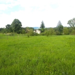 Парцел в с. Райновци, Област Габрово - 930 кв.м за 16 €/кв.м - Снимка #1