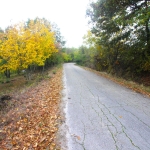 Парцел в с. Костенковци, Област Габрово - 1500 кв.м за 7 €/кв.м - Снимка #1